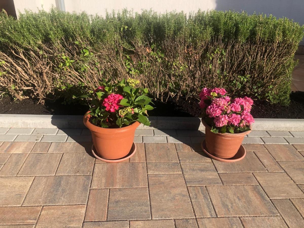 ראב Apartments Fafandjel מראה חיצוני תמונה
